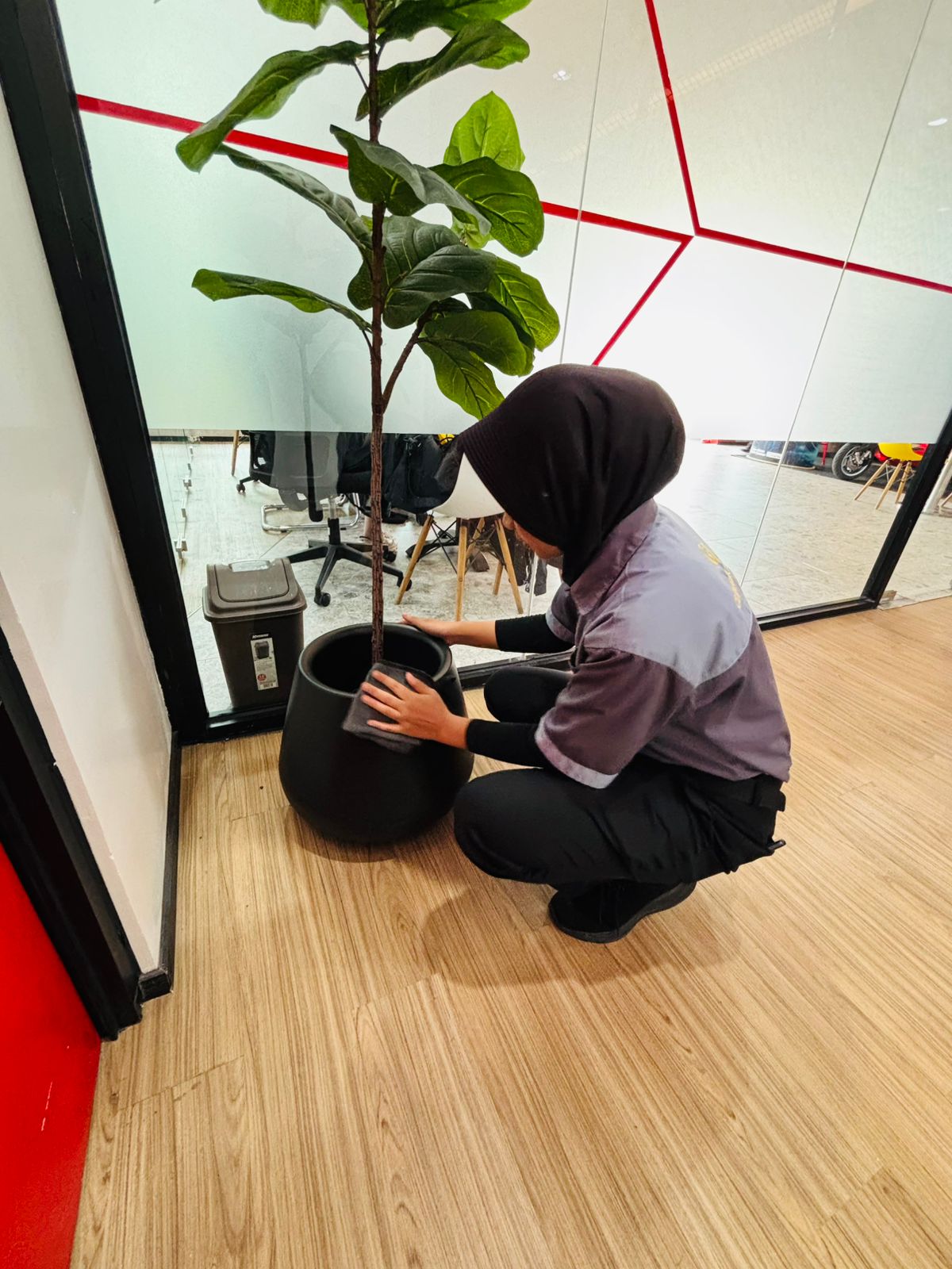 Cleaning Gallery 1